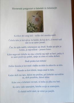 Seniorke iz Kotelj na obisku pri čebelarjih (14)